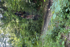 20250710_081135706_iOS