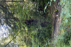 20250710_081300147_iOS