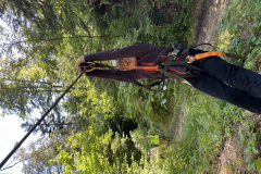 20250710_081431518_iOS