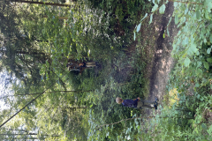 20250710_081504079_iOS