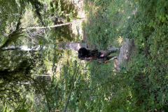 20250710_082226934_iOS