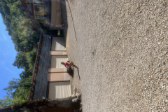 20250710_082610196_iOS