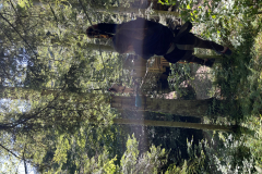 20250710_083716354_iOS