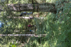 20250710_084525926_iOS