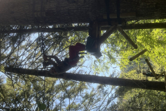 20250710_085014607_iOS