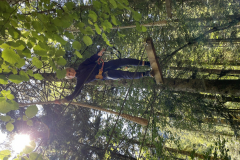 20250710_085621509_iOS