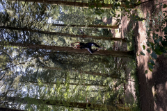 20250710_090258485_iOS