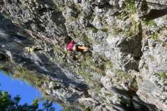 20250710_123840941_iOS