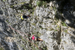 20250710_131235682_iOS