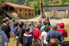 20250707_222240000_iOS-2