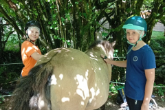 20250715_110723000_iOS-2