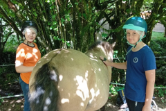 20250715_110725000_iOS-1