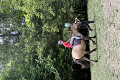 20250715_124842002_iOS