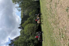 20250715_124913707_iOS