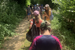 20250715_130119787_iOS