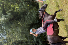 20250715_131307584_iOS