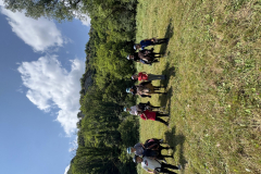 20250715_132954306_iOS