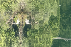 20250716_082927082_iOS