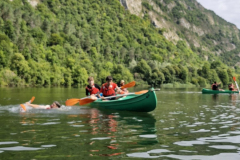 20250716_195357000_iOS-4