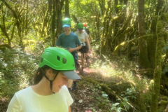 20250716_195404000_iOS-1