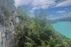 20250716_195406000_iOS-3