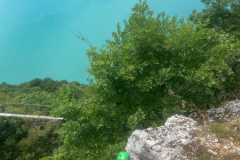 20250716_195846000_iOS-2