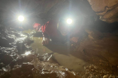 20250718_002949000_iOS-2