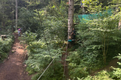 20250718_003012000_iOS-1