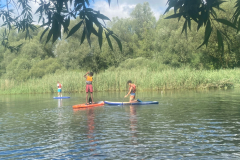 20250718_003212000_iOS-2