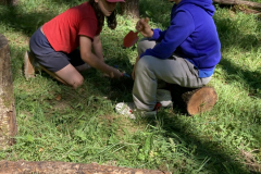 20250718_085023340_iOS