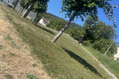 20250718_091122818_iOS