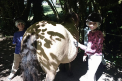 20250718_114005000_iOS-1