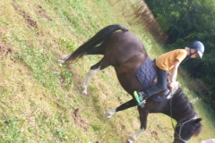 20250718_153852000_iOS