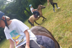 20250718_153856000_iOS-1