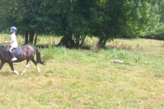 20250718_153857000_iOS-3