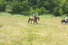 20250718_153858000_iOS-1