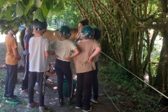 20250718_153903000_iOS-2