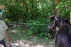 20250718_153904000_iOS-1