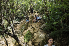 20250722_153613000_iOS-7