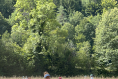 20250723_092402387_iOS