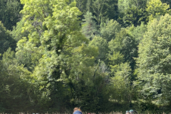 20250723_092402879_iOS