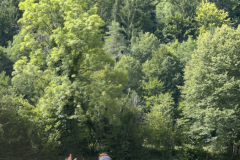 20250723_092403200_iOS