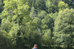 20250723_092403451_iOS