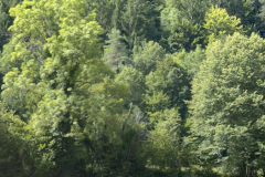 20250723_092403714_iOS