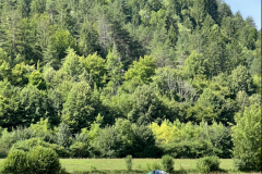 20250723_092422356_iOS