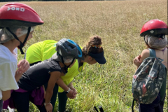 20250723_092504228_iOS