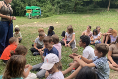 20250723_145214162_iOS