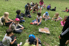 20250723_151204418_iOS