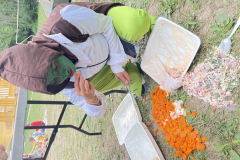 20250723_174039214_iOS