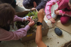 20250723_215824000_iOS